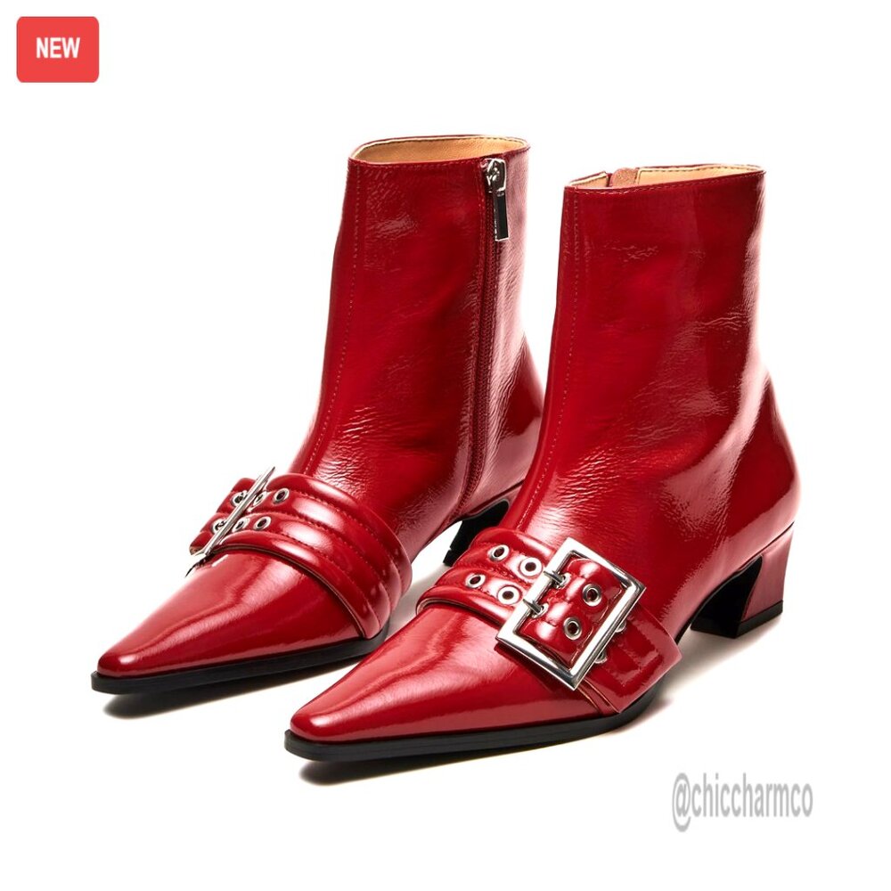 Women's Pointy Toe Ankle Boots With Buckle Strap And Side Zipper